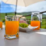 Apartment Marina Veskovic